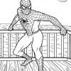 Desenhos para colorir Homem Aranha 02
