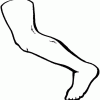 Desenho colorir corpo humano perna
