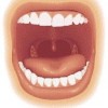 atividades corpo humano boca aberta