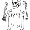 atividades corpo humano esqueleto 04