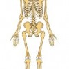 atividades corpo humano esqueleto 06