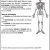 atividades corpo humano sistema articular