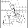 atividades corpo humano sistema respiratório cruzadinha