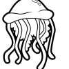 Alfabeto em inglês - Jellyfish - Água viva