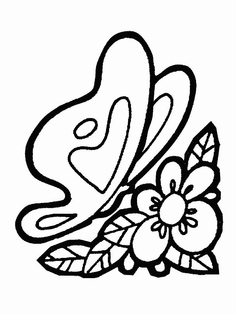 Desenho para colorir borboleta (1)