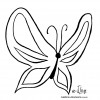 Desenho para colorir borboleta (10)