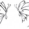 Desenho para colorir borboleta (19)